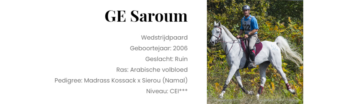 Saroum